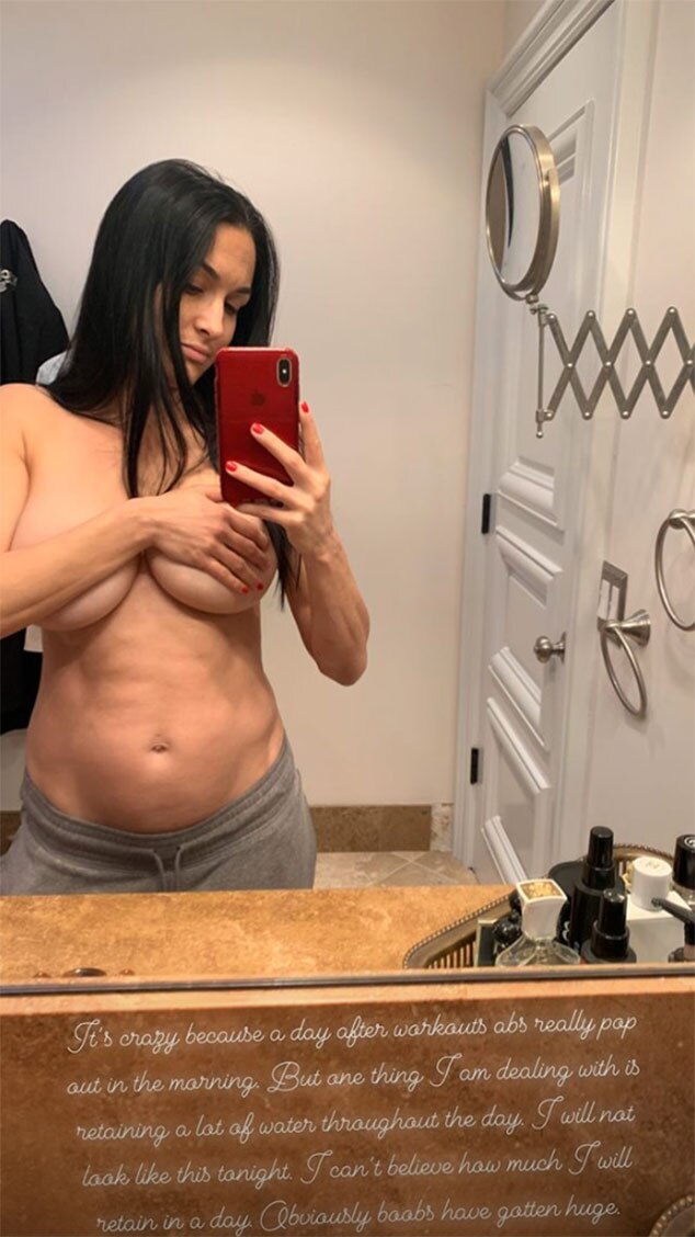 adam jenkin recommends nikki bella naked pictures darron burke add nikki bella naked pictures photo